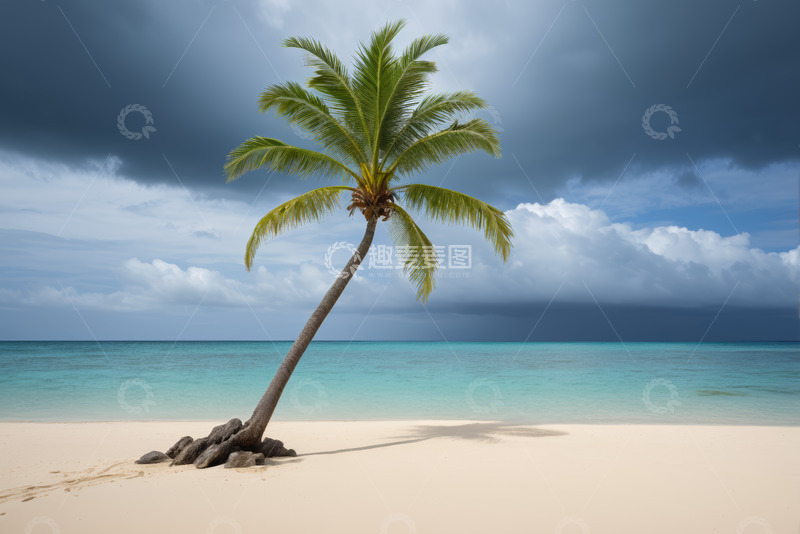 高清大图下载【趣麦麦图】海滩上倾斜的椰子树与海洋