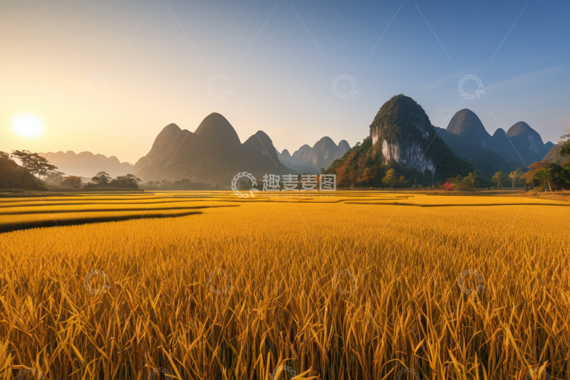 高清大图下载【趣麦麦图】桂林阳朔田园风光稻田美景