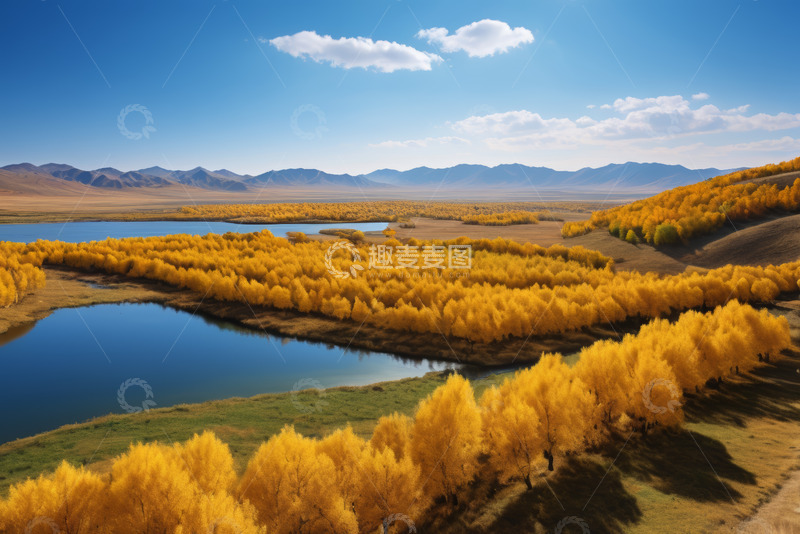 高清大图下载【趣麦麦图】秋日湖畔金黄树林自然风光