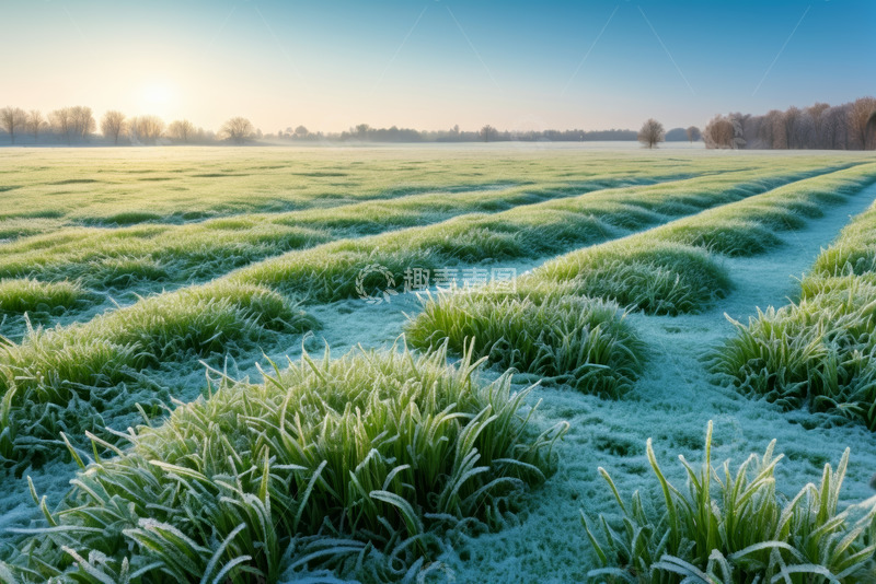 高清大图下载【趣麦麦图】覆霜农田日出自然风光
