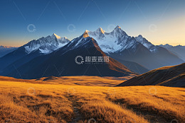 雪山下的金黄草地风景