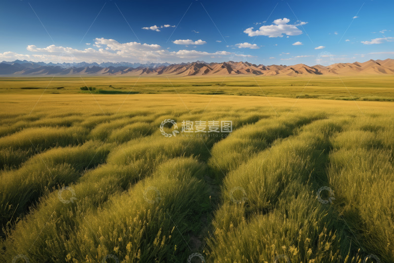 高清大图下载【趣麦麦图】广袤草原与远处山脉风景