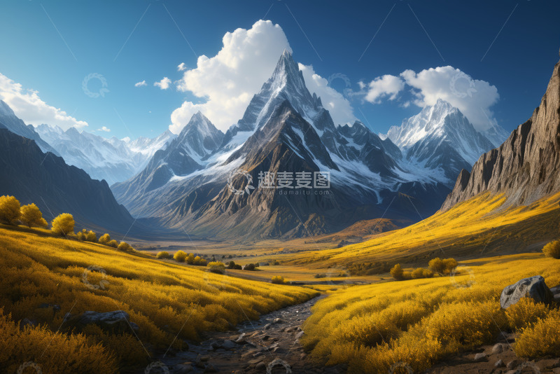 高清大图下载【趣麦麦图】山谷间金黄草地与巍峨雪山景观