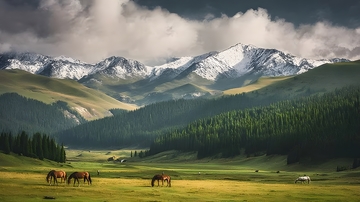 雪山草原骏马风光摄影图片