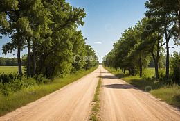 乡间绿树成荫的土路风景