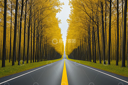 秋日林间道路风景