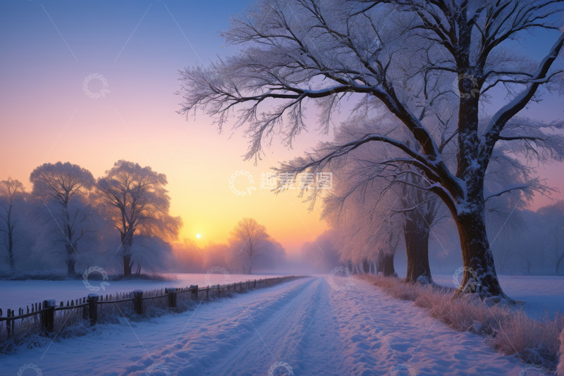 高清大图下载【趣麦麦图】冬日雪后林间道路日出景象