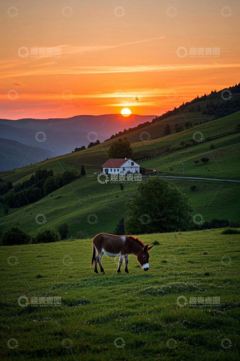 高清大图下载【趣麦麦图】夕阳下山坡草地的驴子与小屋