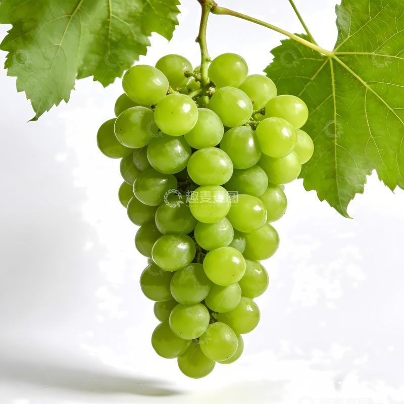 高清大图下载【趣麦麦图】青提阳光玫瑰绿葡萄
