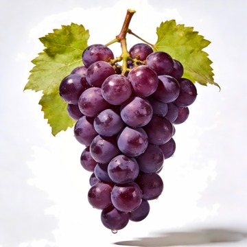一串紫色巨峰葡萄