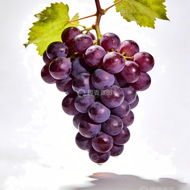 高清大图下载【趣麦麦图】一串葡萄巨峰葡萄龙眼葡萄
