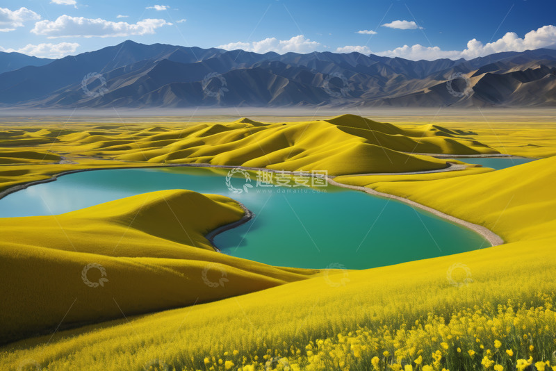 高清大图下载【趣麦麦图】金黄花海中的湖泊与远山景观