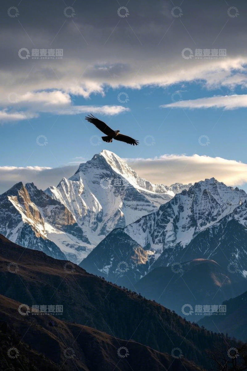 高清大图下载【趣麦麦图】雪山上空翱翔的雄鹰
