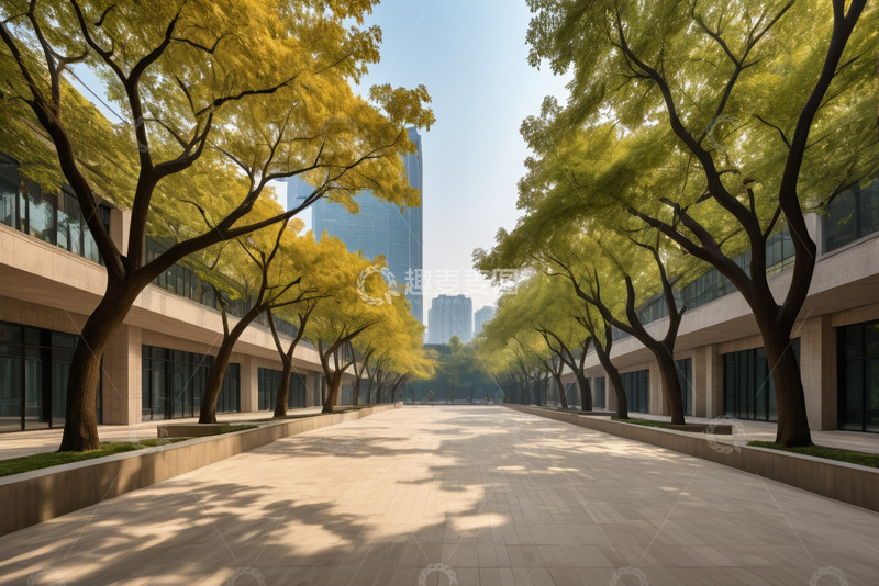 高清大图下载【趣麦麦图】城市街道两旁绿树与建筑景观