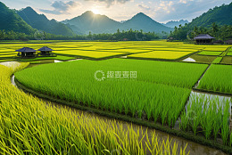 田园风光稻田与山间小屋