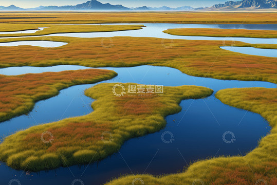 广袤湿地与蜿蜒河流景观