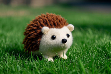 草地上的刺猬毛绒玩具