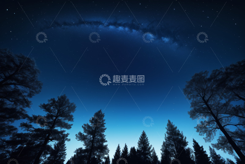 高清大图下载【趣麦麦图】森林夜空下的星空景象