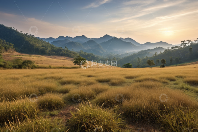 高清大图下载【趣麦麦图】黄昏下的山间草原自然风光