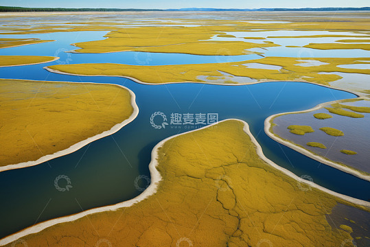 俯瞰黄绿相间湿地水域景观
