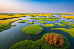 湿地自然风光鸟瞰全景