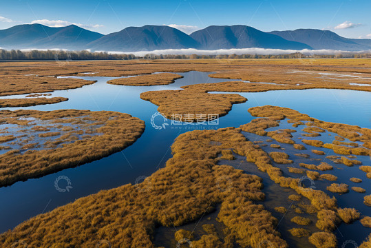 湿地自然风光全景