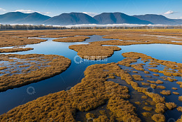 湿地自然风光全景
