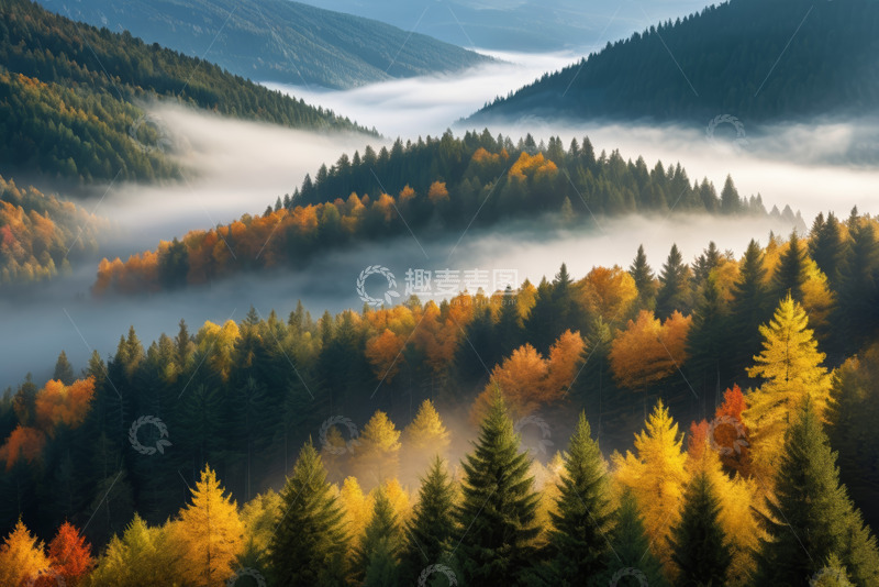 高清大图下载【趣麦麦图】山间秋景森林云雾缭绕