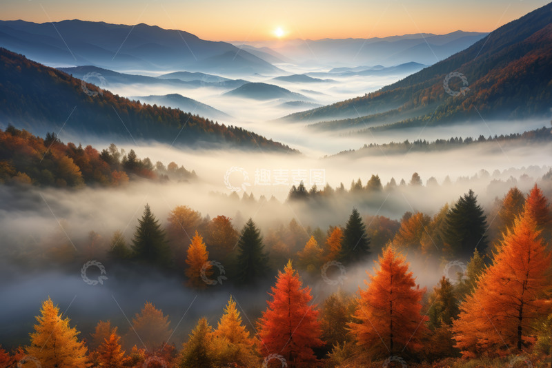 高清大图下载【趣麦麦图】山间晨雾中的秋日森林景观