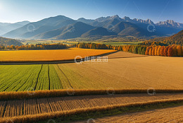 田野山林秋日风光全景