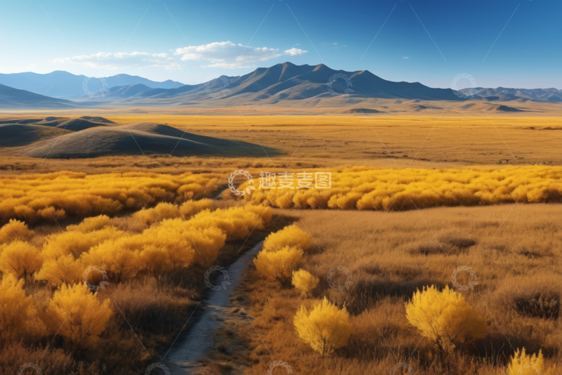 高清大图下载【趣麦麦图】金黄原野中的蜿蜒小路