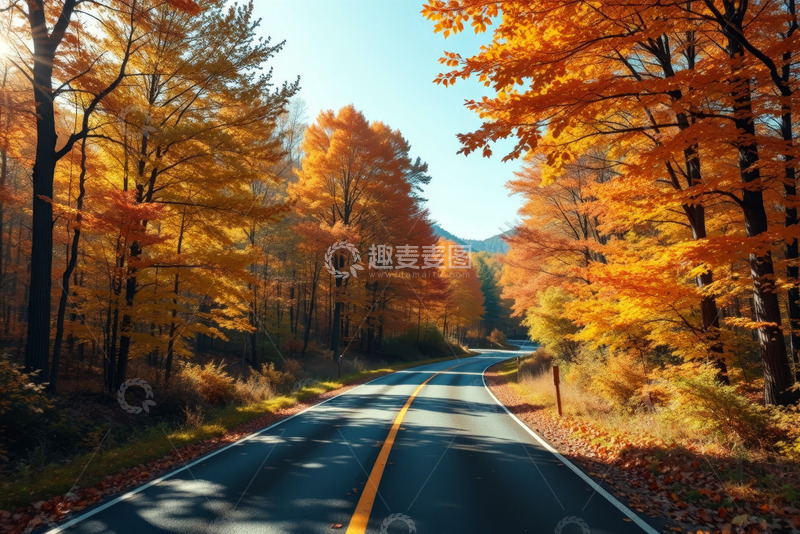 高清大图下载【趣麦麦图】秋日森林中的蜿蜒道路