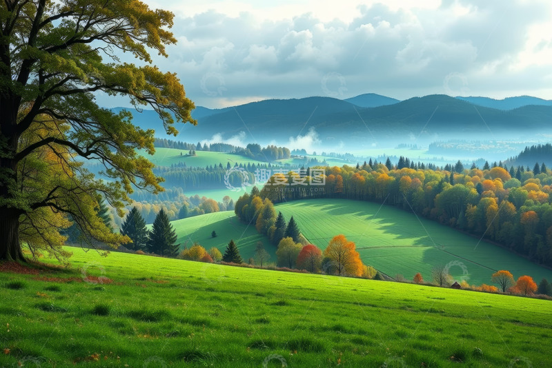 高清大图下载【趣麦麦图】山丘间多彩树林自然风光