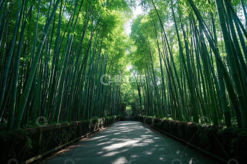 高清大图下载【趣麦麦图】竹林中的石板路风景