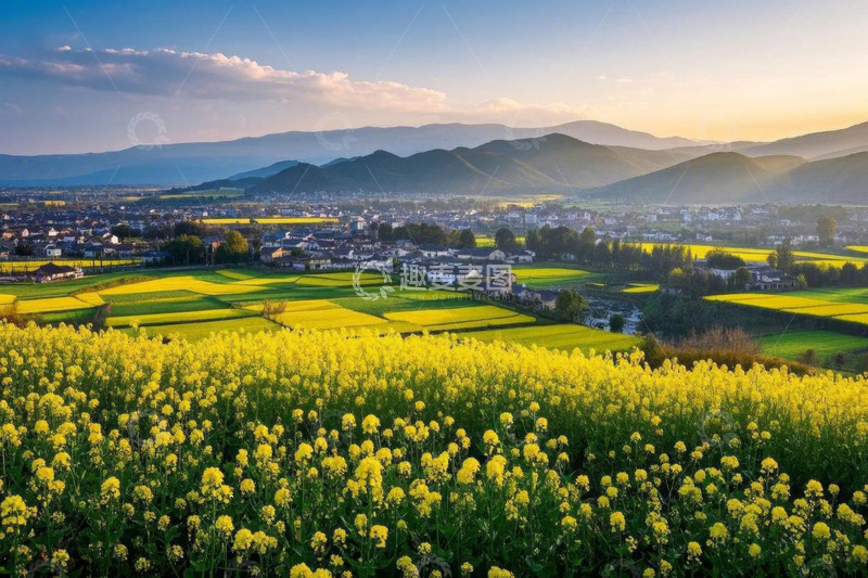 高清大图下载【趣麦麦图】田园风光油菜花田与村庄