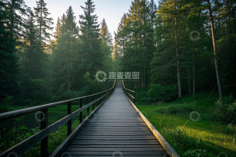 高清大图下载【趣麦麦图】林间木栈道自然风光
