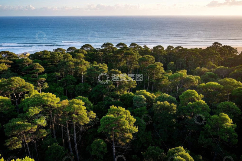 高清大图下载【趣麦麦图】海边森林鸟瞰全景