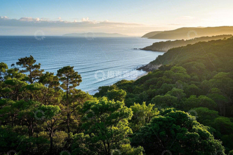 高清大图下载【趣麦麦图】海岸边茂密树林与辽阔海洋景观