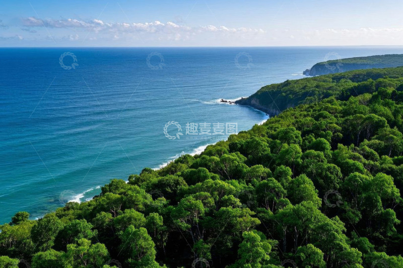高清大图下载【趣麦麦图】海岸边茂密树林与蓝色海洋景观