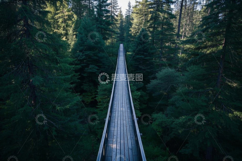 高清大图下载【趣麦麦图】森林中的木质栈道