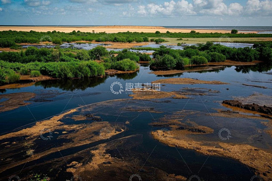 湿地自然风光全景