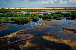 湿地自然风光全景