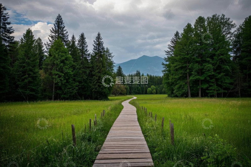 高清大图下载【趣麦麦图】森林中木栈道自然风光