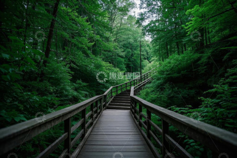 高清大图下载【趣麦麦图】森林中木质步道景致