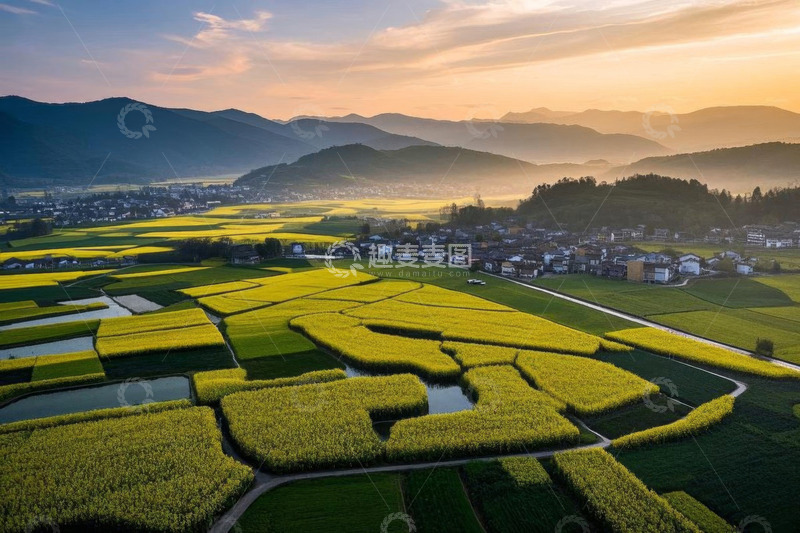 高清大图下载【趣麦麦图】乡村田野油菜花航拍全景
