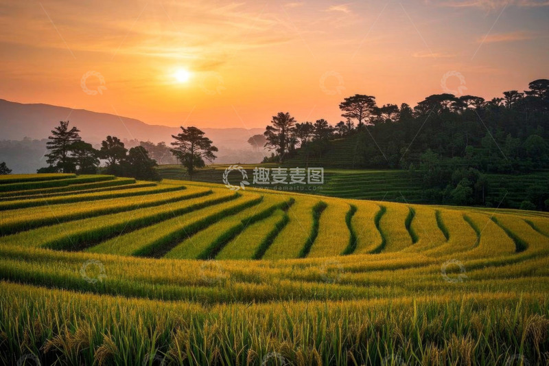 高清大图下载【趣麦麦图】夕阳下的田园梯田景观