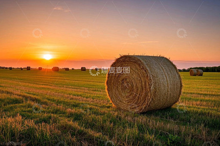田野夕阳下的干草垛景观