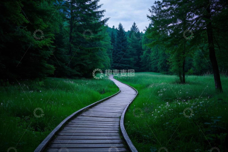 高清大图下载【趣麦麦图】森林中蜿蜒的木质步道