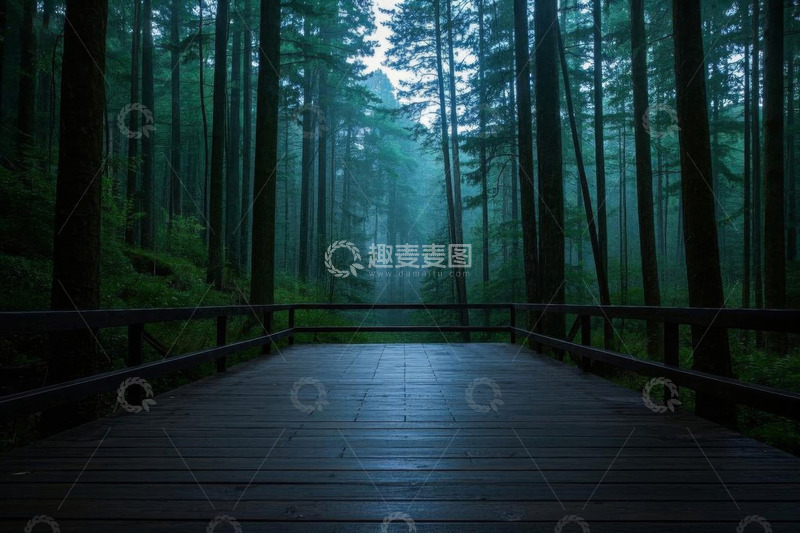 高清大图下载【趣麦麦图】森林中木质步道景观