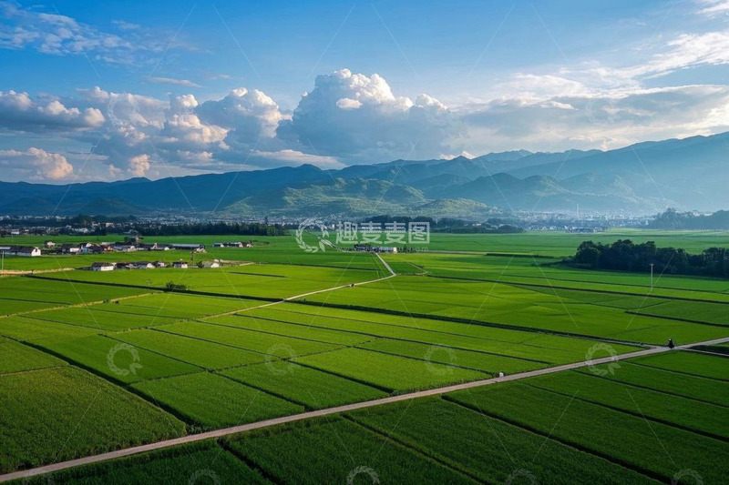高清大图下载【趣麦麦图】乡村稻田航拍全景